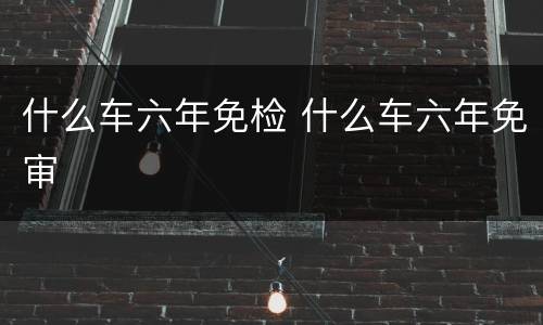 什么车六年免检 什么车六年免审