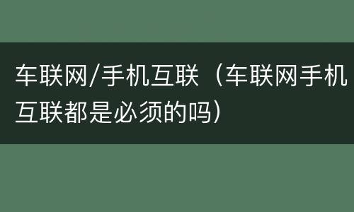 车联网/手机互联（车联网手机互联都是必须的吗）