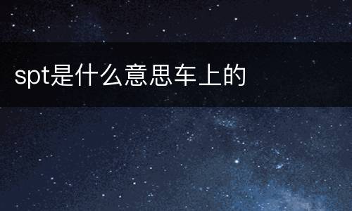 spt是什么意思车上的