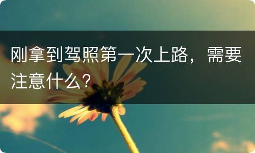 刚拿到驾照第一次上路，需要注意什么?