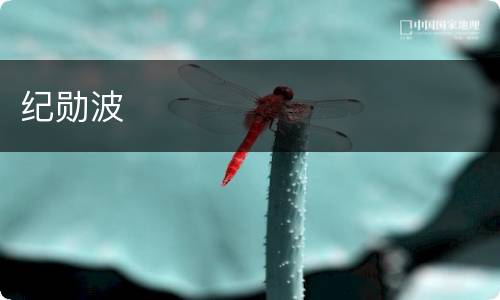 纪勋波