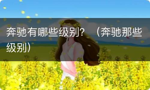 奔驰有哪些级别？（奔驰那些级别）