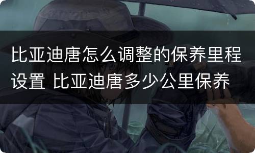比亚迪唐怎么调整的保养里程设置 比亚迪唐多少公里保养