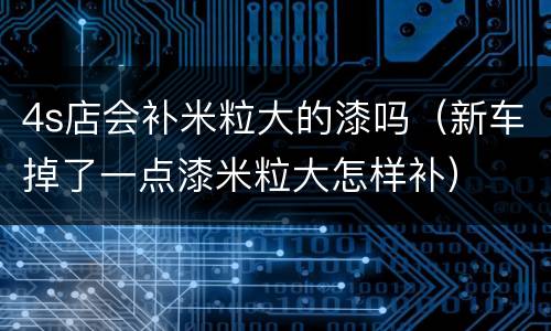 4s店会补米粒大的漆吗（新车掉了一点漆米粒大怎样补）