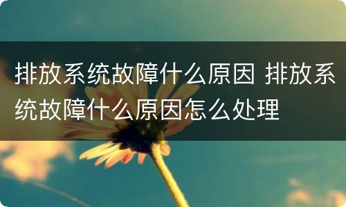 排放系统故障什么原因 排放系统故障什么原因怎么处理