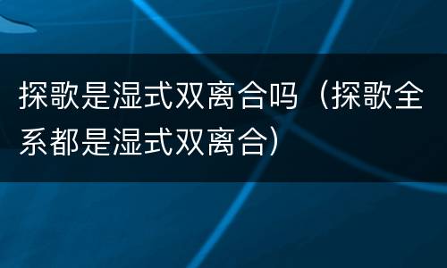 探歌是湿式双离合吗（探歌全系都是湿式双离合）
