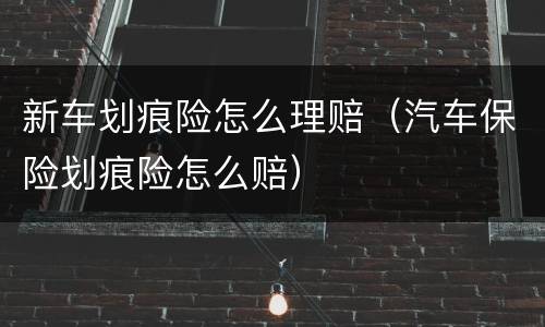 新车划痕险怎么理赔（汽车保险划痕险怎么赔）