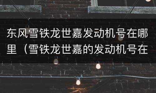 东风雪铁龙世嘉发动机号在哪里（雪铁龙世嘉的发动机号在哪里）