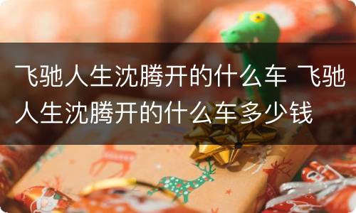 飞驰人生沈腾开的什么车 飞驰人生沈腾开的什么车多少钱