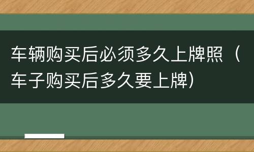 车辆购买后必须多久上牌照（车子购买后多久要上牌）