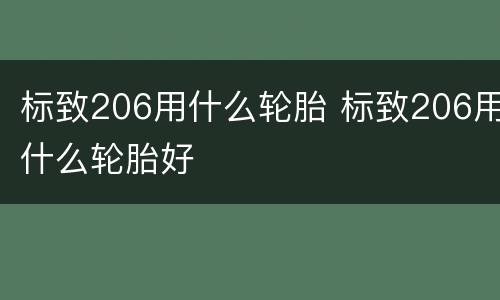 标致206用什么轮胎 标致206用什么轮胎好