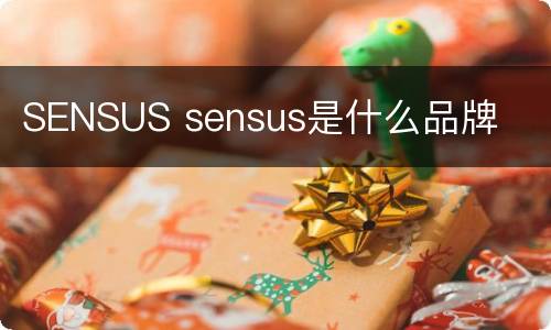 SENSUS sensus是什么品牌
