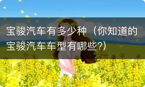 宝骏汽车有多少种（你知道的宝骏汽车车型有哪些?）