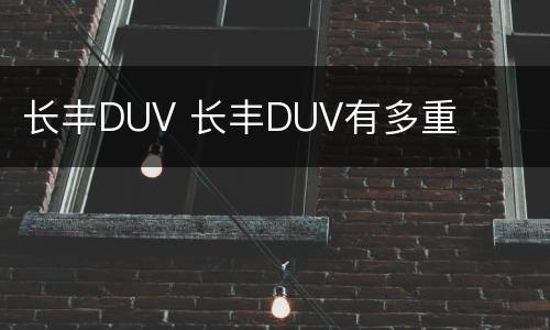 长丰DUV 长丰DUV有多重