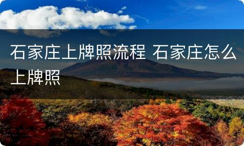 石家庄上牌照流程 石家庄怎么上牌照