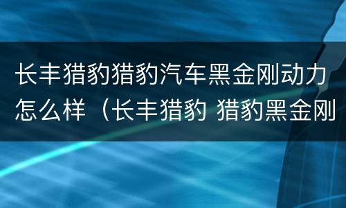 长丰猎豹猎豹汽车黑金刚动力怎么样（长丰猎豹 猎豹黑金刚）