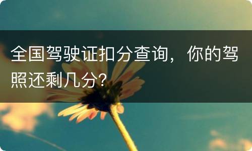 全国驾驶证扣分查询，你的驾照还剩几分？