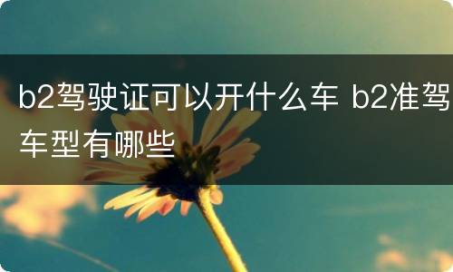 b2驾驶证可以开什么车 b2准驾车型有哪些
