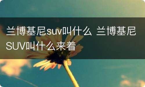 兰博基尼suv叫什么 兰博基尼SUV叫什么来着