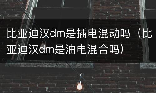 比亚迪汉dm是插电混动吗（比亚迪汉dm是油电混合吗）