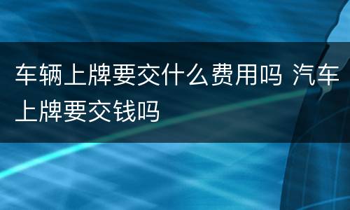 车辆上牌要交什么费用吗 汽车上牌要交钱吗