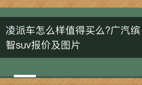 凌派车怎么样值得买么?广汽缤智suv报价及图片