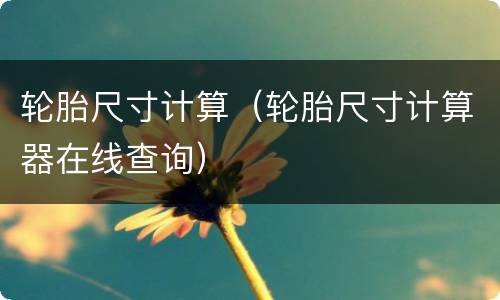 轮胎尺寸计算（轮胎尺寸计算器在线查询）
