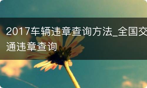 2017车辆违章查询方法_全国交通违章查询