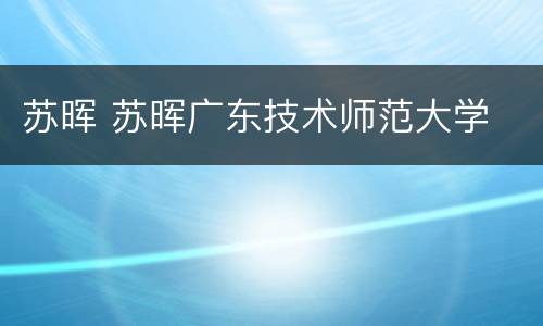苏晖 苏晖广东技术师范大学