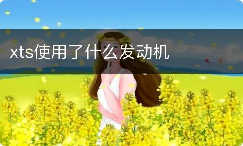 xts使用了什么发动机