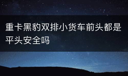 重卡黑豹双排小货车前头都是平头安全吗