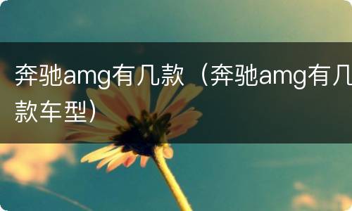奔驰amg有几款（奔驰amg有几款车型）