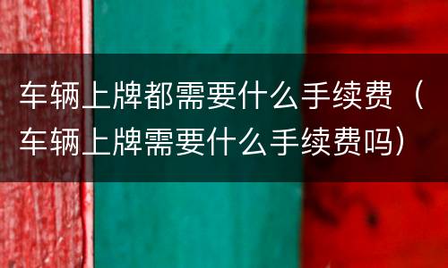 车辆上牌都需要什么手续费（车辆上牌需要什么手续费吗）