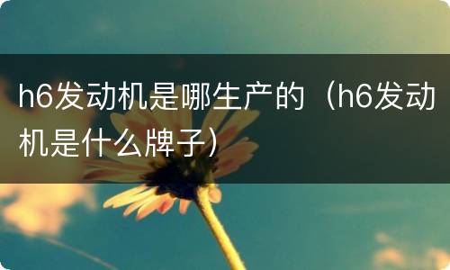 h6发动机是哪生产的（h6发动机是什么牌子）