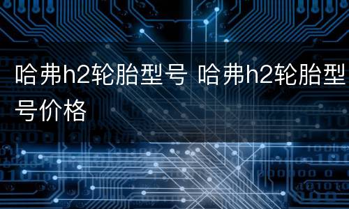 哈弗h2轮胎型号 哈弗h2轮胎型号价格