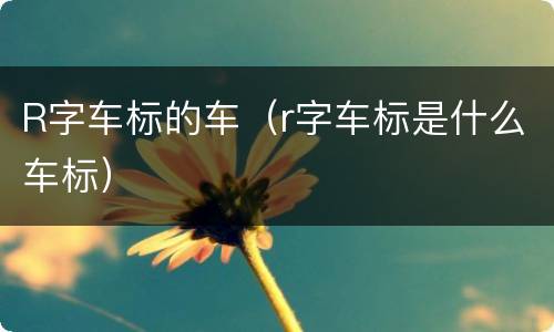 R字车标的车（r字车标是什么车标）