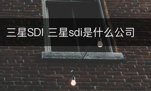 三星SDI 三星sdi是什么公司