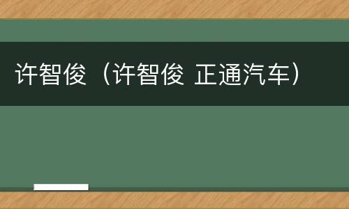 许智俊（许智俊 正通汽车）