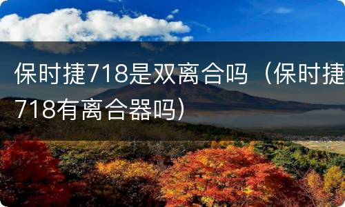 保时捷718是双离合吗（保时捷718有离合器吗）