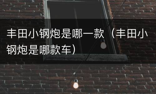 丰田小钢炮是哪一款（丰田小钢炮是哪款车）