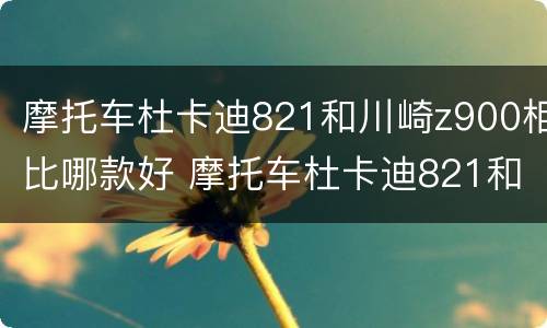 摩托车杜卡迪821和川崎z900相比哪款好 摩托车杜卡迪821和川崎z900相比哪款好