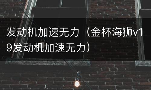 发动机加速无力（金杯海狮v19发动机加速无力）