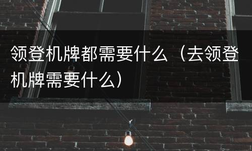 领登机牌都需要什么（去领登机牌需要什么）