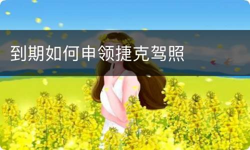 到期如何申领捷克驾照