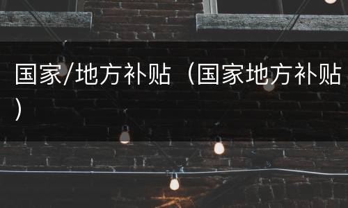 国家/地方补贴（国家地方补贴）
