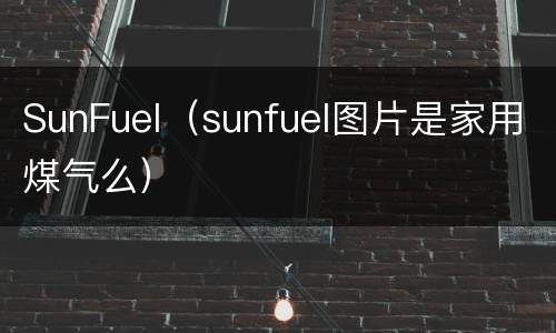 SunFuel（sunfuel图片是家用煤气么）