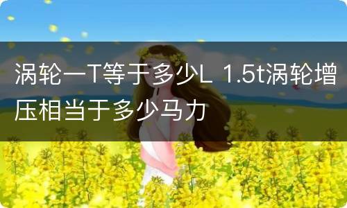 涡轮一T等于多少L 1.5t涡轮增压相当于多少马力