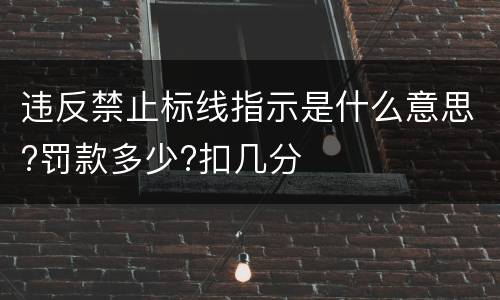 违反禁止标线指示是什么意思?罚款多少?扣几分