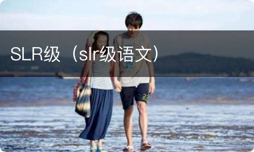 SLR级（slr级语文）