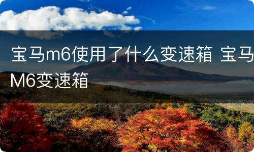 宝马m6使用了什么变速箱 宝马M6变速箱